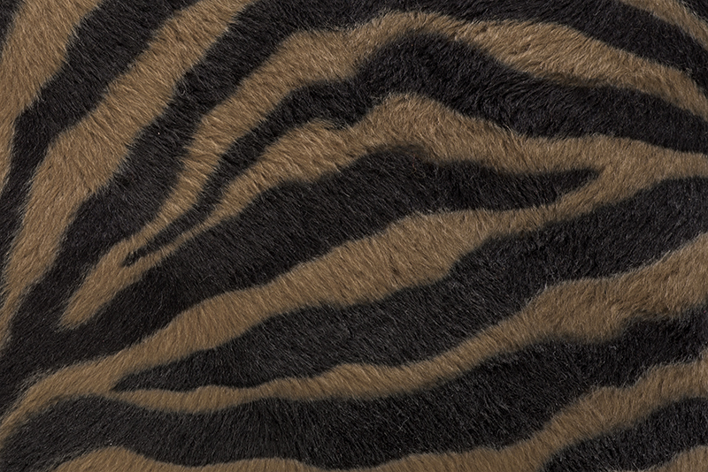 Bronze and black Zebre fur for shoes and bags - Florence KOOIJMAN