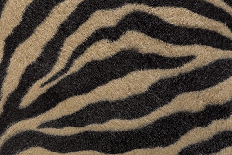 Beige and black Zebre fur for shoes and bags - Florence KOOIJMAN